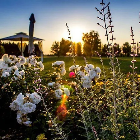 Agriturismo La Torretta Летний дом